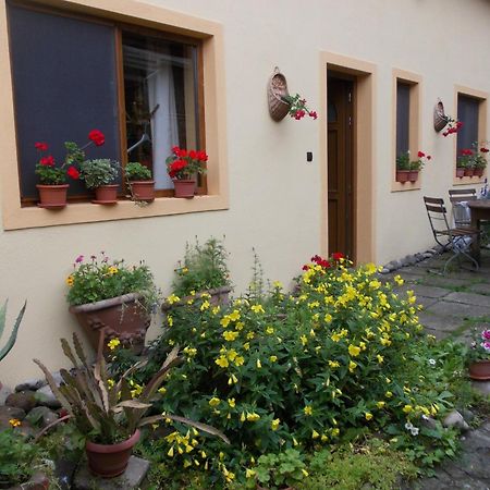 Casa Lia Hotel Сигишоара Екстериор снимка