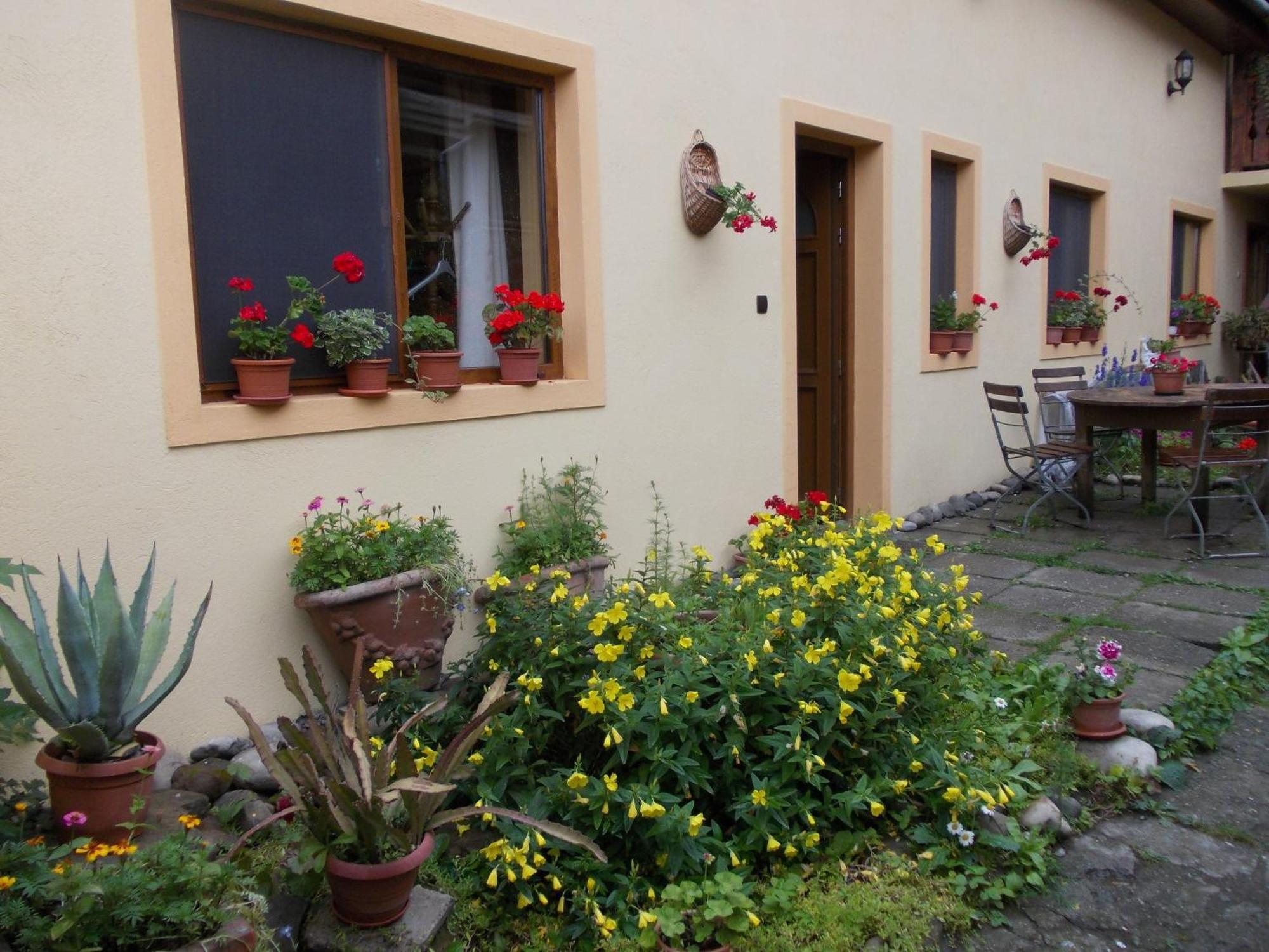 Casa Lia Hotel Сигишоара Екстериор снимка
